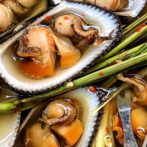 SÒ DƯƠNG HẤP SẢ