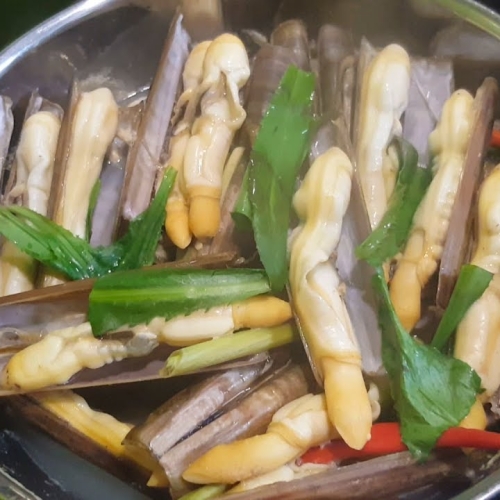 ỐC MÓNG TAY CHÚA HẤP