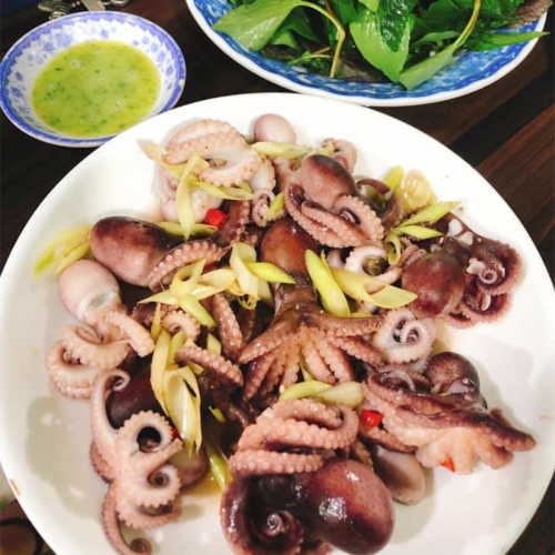 BẠCH TUỘC HẤP